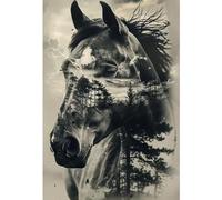 Stamped Cross Stitch Kits for Beginners Adults 11CT 3 Strands Printed 16x24 Inch Silhouette Horse Animal Embroidery Kits Without Frame