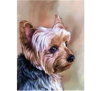 Stamped Cross Stitch Kits for Beginners Adults with Pattern Funny UK Animal Yorkshire Terrier 11ct DIY Embroidery Crafts for Needle Point Starter Kit Home Decor Holiday Gift(16×20inch)