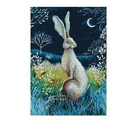 Stamped Cross Stitch Kits for Beginners Adults with Pattern Funny UK Hare at Night 11ct DIY Embroidery Crafts for Needle Point Starter Kit Home Decor Holiday Gift(16×20inch)