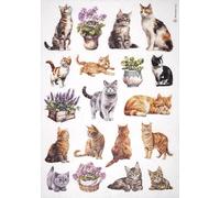 Stamperia A4 Rice Paper - Cat and Plant Collection