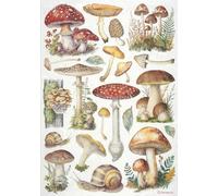 Stamperia A4 Rice Paper for Decoupage - "Mushrooms" - Nature-Inspired Botanical Design