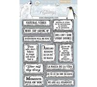 Stamperia Cling Rubber Stamp 5.5"X7"-Quotes, Arctic Antarctic -WTKCC180