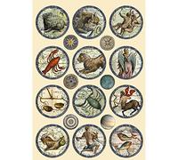 Stamperia International Coloured Shape-Cosmos Infinity, Multicoloured, A5