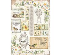 Stamperia International Rice Paper-Daisy, Various, A4