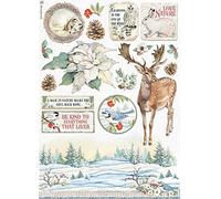 STAMPERIA INTL, KFT (3PL) Stamperia-Rice Paper-Winter Tales-Poinsettia, Blue, A4