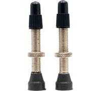 Stan’s Tubeless Universal Presta Valves Regular