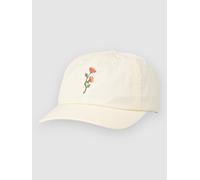 Stance Standard Adjustable Cap canvas Uni