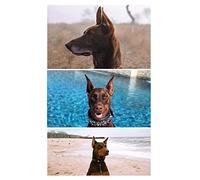 Stand up Sticker Fixed Support German Shepherd Raise Tool, 6x3 cm