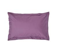 HOMESCAPES Purple Grape Pure Egyptian Cotton Oxford Pillowcase Standard Size 200 TC 400 Thread Count Percale Equivalent Pillow Case