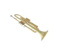 Standard Brass Advanced Trumpet Beginner Grade Examination Professional Trumpet Trumpet Instrument Brass Instrument B Flat