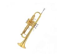 Standard Brass Advanced Trumpet Instrument Performance Examination Wind Instrument Brass