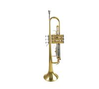 Standard Brass All-brass trumpet brass instrument in B flat for beginners to take the exam original model with complete accessories