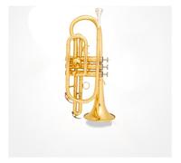 Standard Brass B flat cornet instrument portable pocket trumpet instrument professional beginners grade examination band