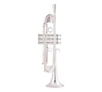 Standard Brass B flat heavy trumpet instrument band performance professional grade heavy trumpet silver plated