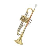 Standard Brass B flat lacquered gold trumpet trumpet flat mouth brass wind instrument