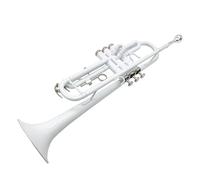 Standard Brass B flat three-tone trumpet brass instrument horn student beginner band(Color:White)