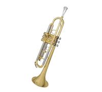 Standard Brass B-flat trumpet instrument band students' entry-level exercises for grade examination