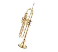 Standard Brass B flat trumpet instrument brass instrument beginners entry level performance examination western orchestra
