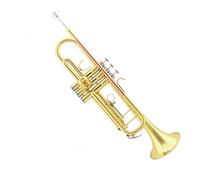 Standard Brass B flat trumpet instrument brass phosphor bronze grade examination performance major
