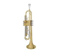 Standard Brass B-flat trumpet instrument entry-level white copper pitch tube for students taking grade exams
