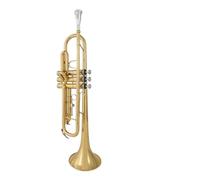 Standard Brass B-flat trumpet instrument for beginners entry-level school band universal upgraded brass pitch tube
