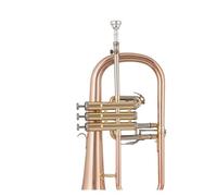 Standard Brass B-flat trumpet instrument phosphor bronze silver-plated model beginner performance test