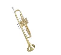 Standard Brass B flat trumpet student professional playing general brass brand instrument for beginners