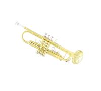 Standard Brass B-key trumpet brass body student beginner professional playing brass instrument trumpet