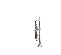 Standard Brass B key trumpet brass instrument nickel plated