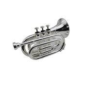 Standard Brass Bb B flat trumpet Bb B flat trumpet instrument suitable for students and beginners musical instrument accessories