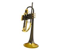 Standard Brass Bb professional brass instrument exquisite trumpet electroplated black gold