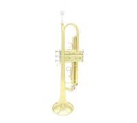 Standard Brass Bb trumpet brass body trumpet set with storage box accessories professional B flat gold and silver trumpet (Color : Gold)