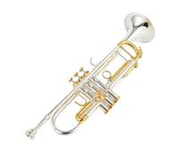 Standard Brass Bb trumpet silver gold key professional musical instrument with box