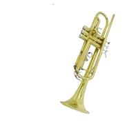 Standard Brass Beginner horn B flat trumpet instrument professional playing