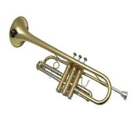 Standard Brass Beginners from Brass School play the trumpet instrument in C key professionally