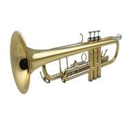 Standard Brass Beginner's grade examination for trumpet instrument B-flatC-tunable variable students