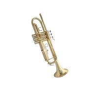 Standard Brass Beginner's grade-level wind band general trumpet B flat trumpet