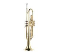 Standard Brass Beginner's horn gold-plated exquisite and durable trumpet Bb flat brass instrument