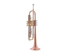 Standard Brass Beginner's trumpet instrument B flat phosphor bronze bell mouth white copper pitch tube