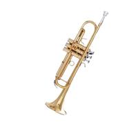 Standard Brass Brass for musical instruments Trumpet in B flat trumpet school music team teacher recommendation