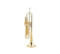 Standard Brass Brass in the key of B-flat for beginners entry-level examination for adults professional playing in the key of B-b