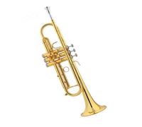 Standard Brass Brass lacquered gold musical instrument in B flat beginner band professional performance level