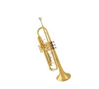 Standard Brass Brass lacquered gold musical instrument in B flat beginner band professional performance level