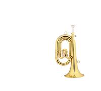 Standard Brass Brass material trumpet instrument step horn division B flat military band charge horn blower