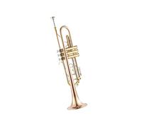 Standard Brass Brass nickel-plated beginners grade wind band universal trumpet B flat trumpet