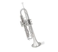 Standard Brass Brass nickel-plated musical instrument in B flat beginner band professional performance level