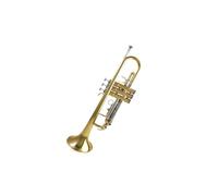 Standard Brass Brass trumpet B flat trumpet student professional playing beginner general brass brand instrument