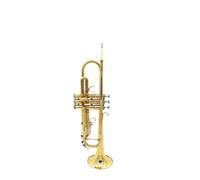 Standard Brass Brass Trumpet Beginner Lacquer Gold TR400