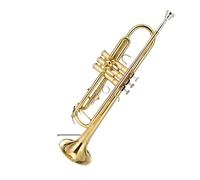 Standard Brass Brass trumpet in B flat basic gold