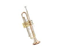 Standard Brass Brass trumpet in B flat professional performance phosphor bronze